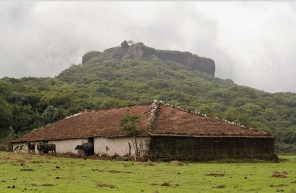 पांडवगड : चारही बाजूंनी ताशीव खोल कडे असलेला गड