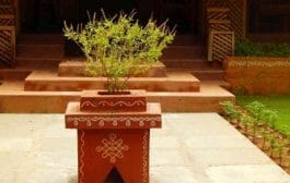 आध्यात्म | दारासमोर तुळस लावण्यामागे ‘हे’ आहे शास्त्र