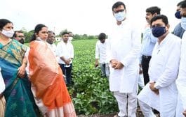 ई-पीक पाहणी हा महाराष्ट्रासाठी व्यापक प्रकल्प – महसूलमंत्री बाळासाहेब थोरात