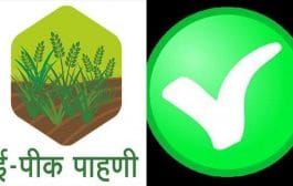 ‘माझी शेती माझा सातबारा, मीच नोंदविणार माझा पीकपेरा’