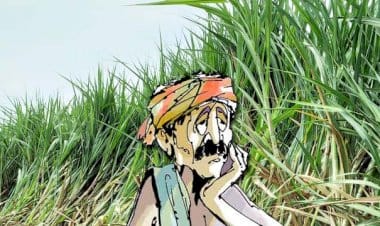 राज्यातील ४४ साखर कारखान्यांना साखर आयुक्तांनी काळ्या यादीत