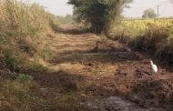 राज्यात 'मातोश्री ग्राम समृद्धी शेत-पाणंद रस्ते योजना' राबविणार