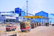 देशात साखर उत्पादनात महाराष्ट्र आघाडीवर