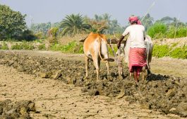 पंतप्रधान नरेंद्र मोदी पीएम–किसान चा दहावा हप्ता 1 जानेवारीला जारी करणार