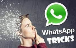 व्हॉट्सअ‍ॅप ट्रिक । व्हॉट्सअ‍ॅपची 'ही' ट्रिक आहे अप्रतिम आहे,चॅटिंग करताना तुम्हाला कोणीही ऑनलाइन नाही पाहू शकणार