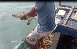 सागरी जैवविविधता जपणुकीत कांदळवन प्रतिष्ठानचे काम कौतुकास्पद – मुख्यमंत्री