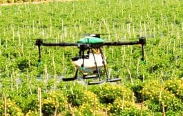 केंद्र सरकार कृषी क्षेत्रात ड्रोन वापरास प्रोत्साहन देणार