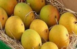 आता अमेरिकेतील ग्राहकांना उपलब्ध होणार भारतातील उत्कृष्ट प्रतीचे आंबे