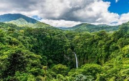 वन सर्वेक्षण अहवाल 2021 प्रकाशित । गेल्या दोन वर्षांत देशातील क्षेत्रामध्ये 2,261 चौरस किलोमीटर वाढ