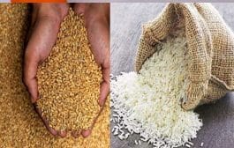 राष्ट्रीय अन्न सुरक्षा योजनेच्या जिल्हानिहाय उद्दिष्टांमध्ये सुधारणा