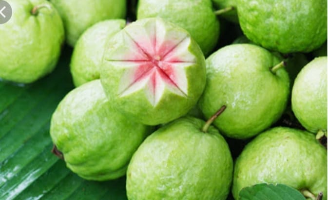 पेरूच्या निर्यातीचा टक्का वाढला; 2013 पासून आतापर्यंत 260 टक्क्यांनी वाढ