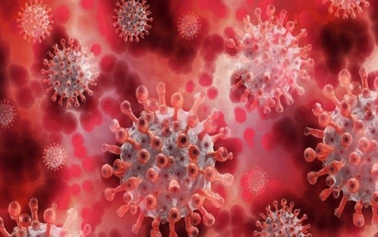 सांगली @; जिल्ह्यात कोरोनाची रुग्ण संख्या शून्यावर