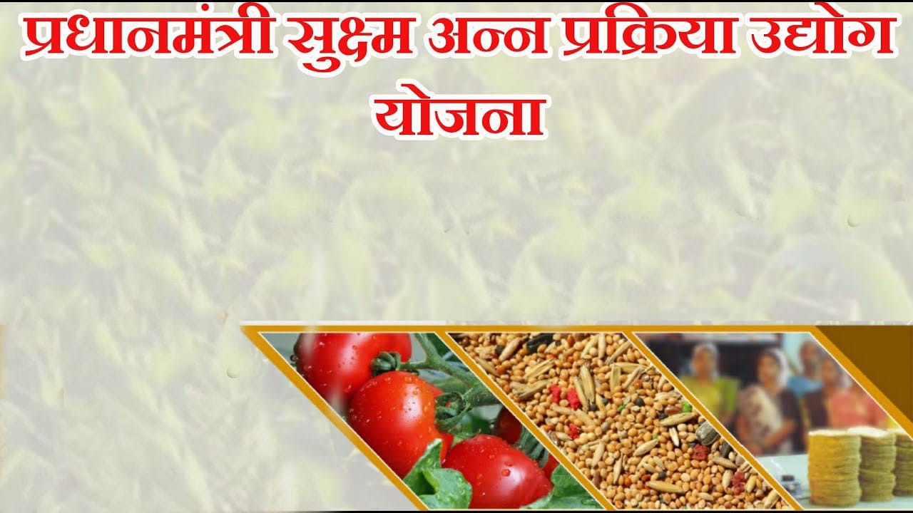 प्रधानमंत्री सूक्ष्म अन्न प्रक्रिया उद्योग योजनेच्या अंमलबजावणीत महाराष्ट्र आघाडीवर