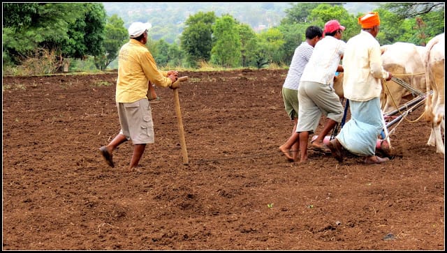 शेतकऱ्यांनो लगेच पेरणी करू नका - कृषी विभागाचे आवाहन