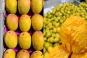 विविध प्रजातींच्या आंब्यांची चव चाखायचीय.. आंबा जत्रेला भेट द्या