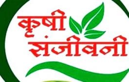 सांगली । जिल्ह्यात विविध उपक्रमाद्वारे कृषि संजीवनी सप्ताह साजरा करण्यात येणार