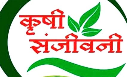 सांगली । जिल्ह्यात विविध उपक्रमाद्वारे कृषि संजीवनी सप्ताह साजरा करण्यात येणार