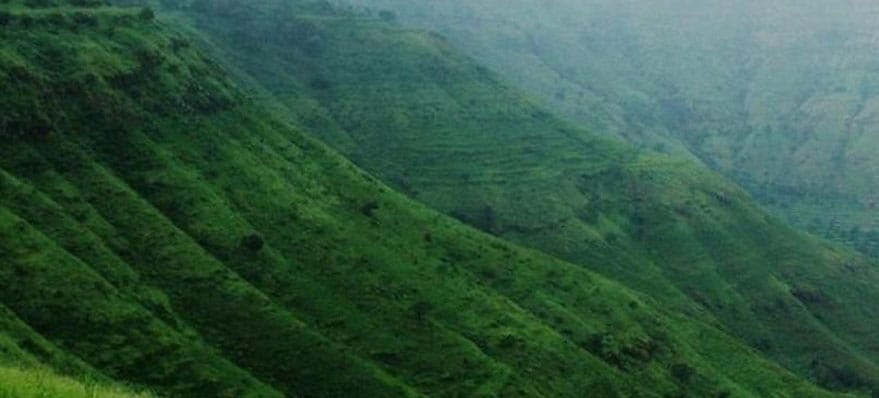राज्यात नवीन १२ संवर्धन राखीव क्षेत्रासह, ३ अभयारण्य घोषित