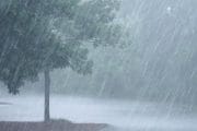 Weather Update । या राज्यांमध्ये आहे मुसळधार पावसाची शक्यता