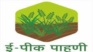 ई-पीक पाहणी…सोपी आणि सुलभ!