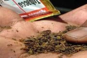 तंबाखूजन्य पदार्थांच्या पॅकवर डिसेंबरपासून नवे चित्र दिसणार