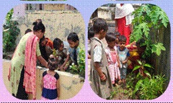 देशभरातील 4.37 लाख अंगणवाडी केंद्रांनी उभारल्या पोषण वाटिका