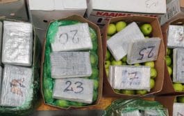 मुंबई । सुमारे 502 कोटी रुपये किंमतीचा कोकेनचा अवैध साठा जप्त