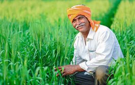 मोदी सरकारकडून शेतकऱ्यांना दिवाळीची भेट; किसान सन्मानचा 12 वा हप्ता बँक खात्यात जमा