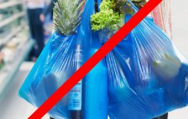 राज्यात एकल वापर प्लास्टिकबंदीची कडक अंमलबजावणी होणार