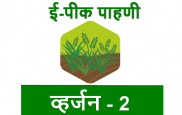 ई-पीक पाहणी ॲपवर रब्बी पिकांची नोंद करा