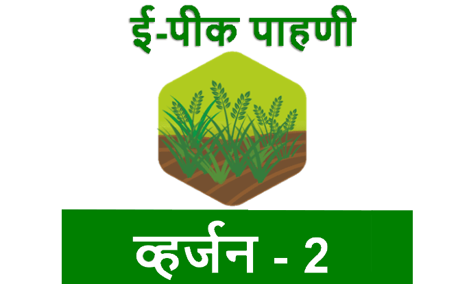 ई-पीक पाहणी ॲपवर रब्बी पिकांची नोंद करा