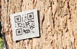 आता वृक्षच बोलणार ! देणार स्वत:बद्दलची माहिती