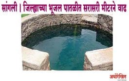 सांगली । जिल्ह्याच्या भूजल पातळीत सरासरी मीटरने वाढ