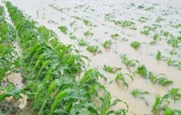 राज्य आपत्ती प्रतिसाद निधीच्या दरांमध्ये केंद्र सरकारकडून सुधारणा