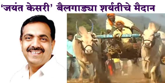 कासेगाव येथे येत्या १२ मार्च रोजी 'जयंत केसरी' बैलगाड्या शर्यतीचे मैदान