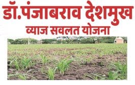 डॉ. पंजाबराव देशमुख व्याज सवलत योजना राबविण्यात सातारा जिल्हा राज्यात अव्वल