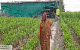 गायकवाड कुटुंबाला रेशीमशेतीतून मिळाला रोजगार आणि कीटकसंगोपन गृहासाठी अनुदान !