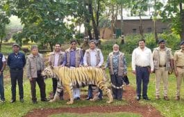 सह्याद्री व्याघ्र प्रकल्पाचा 'व्हेरी गुड' श्रेणीत समावेश