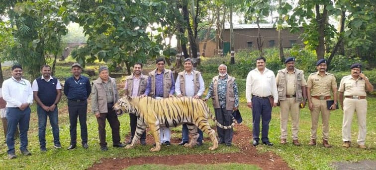 सह्याद्री व्याघ्र प्रकल्पाचा 'व्हेरी गुड' श्रेणीत समावेश