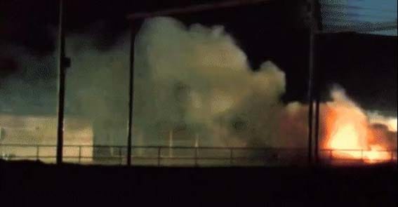 धक्कादायक ! डेअरी फार्ममध्ये भीषण स्फोट; 18 हजार गायींचा होरपळून मृत्यू