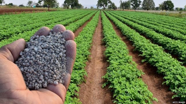 शेतकऱ्यांना दिलासा ! खतांच्या किंमतीत कोणतीही वाढ न करण्याचा केंद्रीय मंत्रिमंडळाचा निर्णय