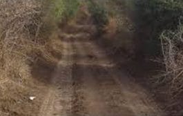 पाणंद रस्त्याचे ग्रामीण मार्गात रुपांतर होणार?