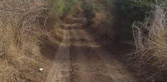 पाणंद रस्त्याचे ग्रामीण मार्गात रुपांतर होणार?