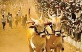 सर्वोच्च न्यायालयाचा मोठा निर्णय, बैलगाडा शर्यतीला दिली परवानगी !