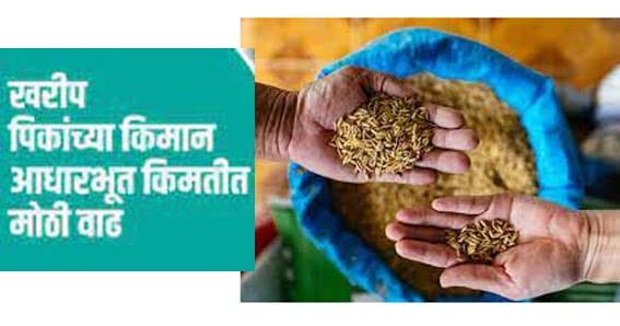 मोदी सरकारचा मोठा निर्णय! खरीप पिकांच्या किमान हमीभावात वाढ