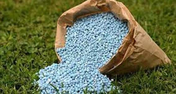 Agriculture News । एमआरपी पेक्षा जादा दराने खते खरेदी करू नका; कृषी विभागाचे आवाहन