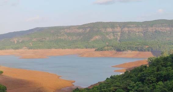 कोयना धरणात फक्त 13 टक्के पाणीसाठा शिल्लक