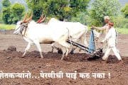 शेतकऱ्यांनो...पेरणीची घाई करु नका !