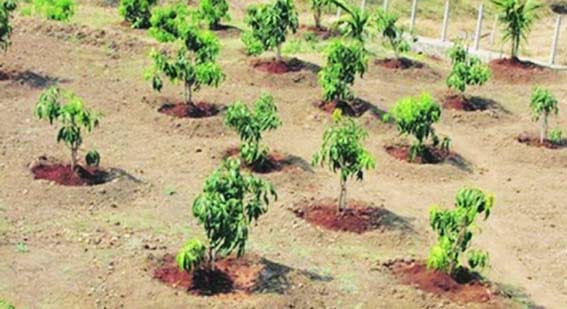 बहे रामलिंग बेटावर होणार 2 हजार वृक्षांची लागवड !