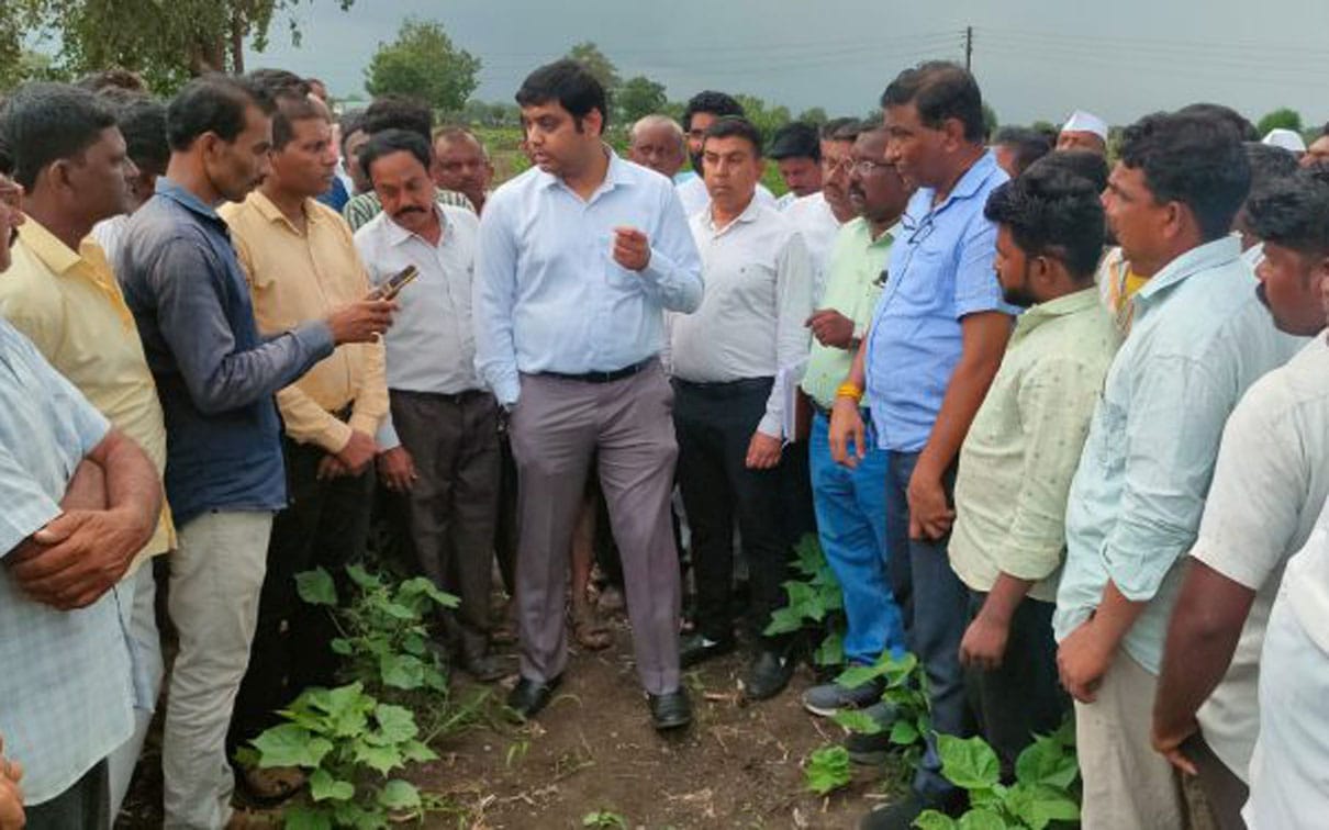 मंत्री गिरीष महाजन यांनी शेतकऱ्यांशी साधला व्हिडिओ कॉलद्वारे संवाद...नुकसानग्रस्त शेतीचे तात्काळ पंचनामे करण्याचे आदेश